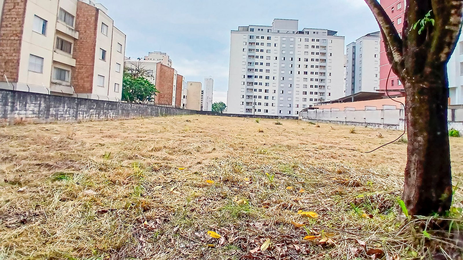TERRENO 2.800M² | LOCAÇÃO - Foto 7